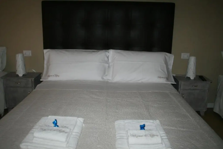 Standard Twin room with view