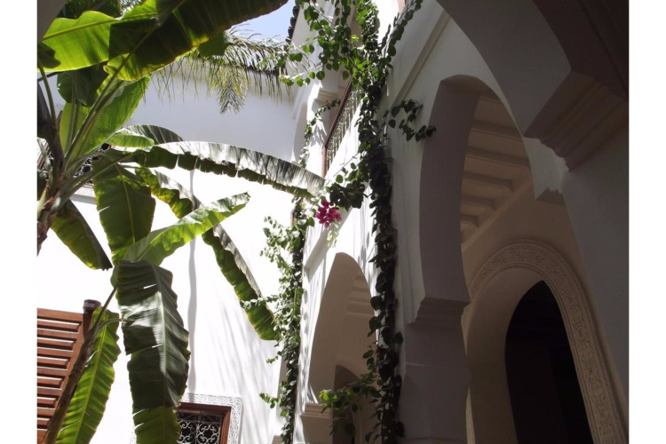 Riad Les Bougainvilliers photo 16