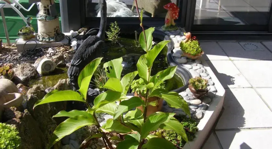 Au Jardin d'Eden