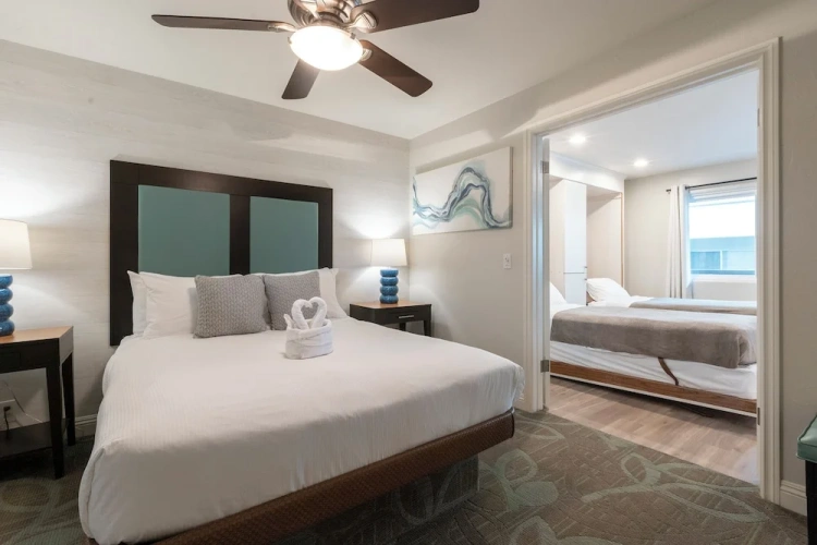 1 Bedroom Junior Suite