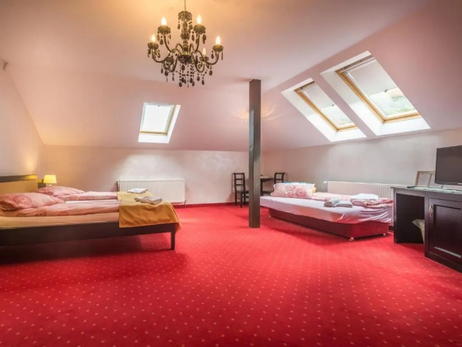 Standard Single room with view