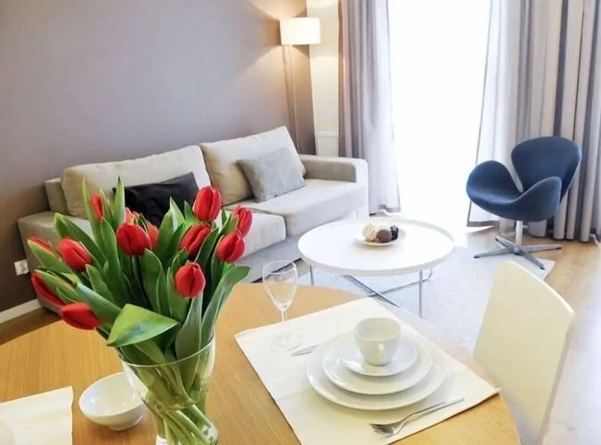 1 Bedroom Apartment