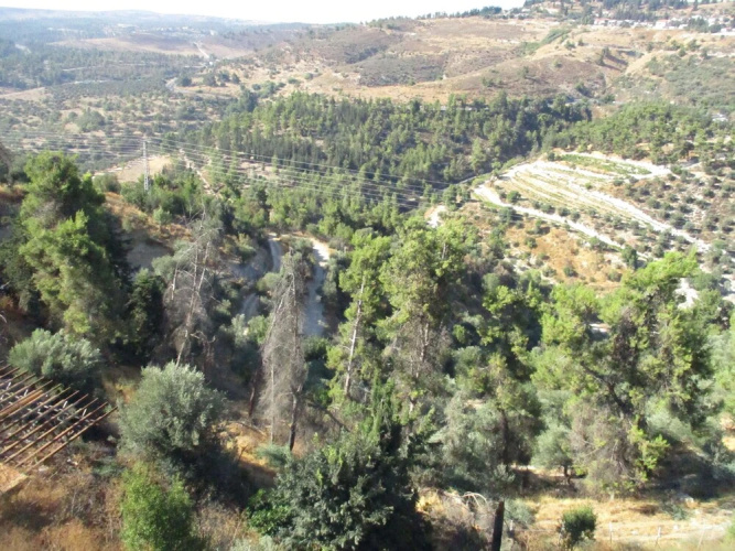 view haari