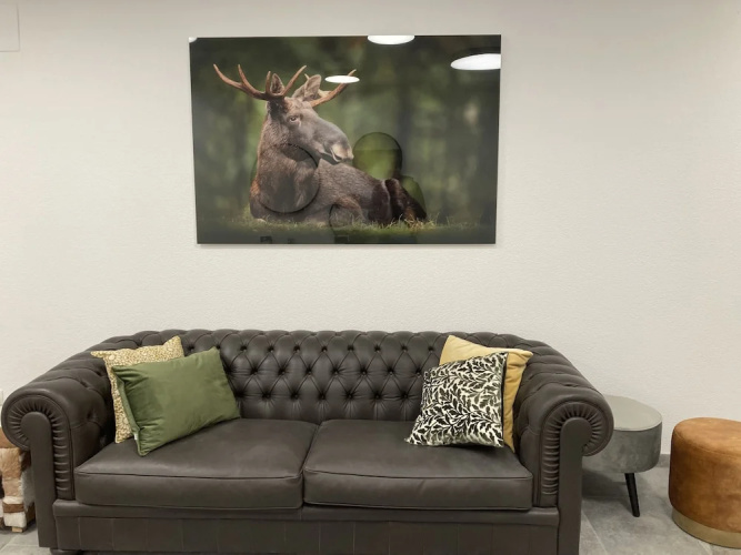 Moose Lodge