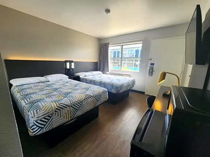 Premium Quadruple room