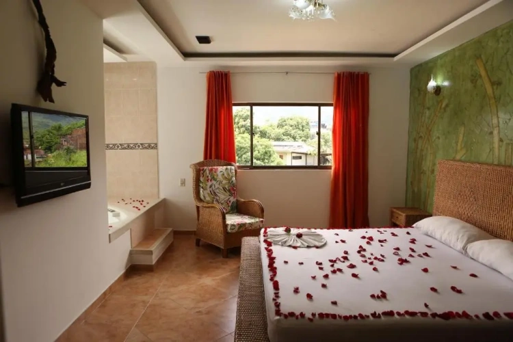Standard Suite