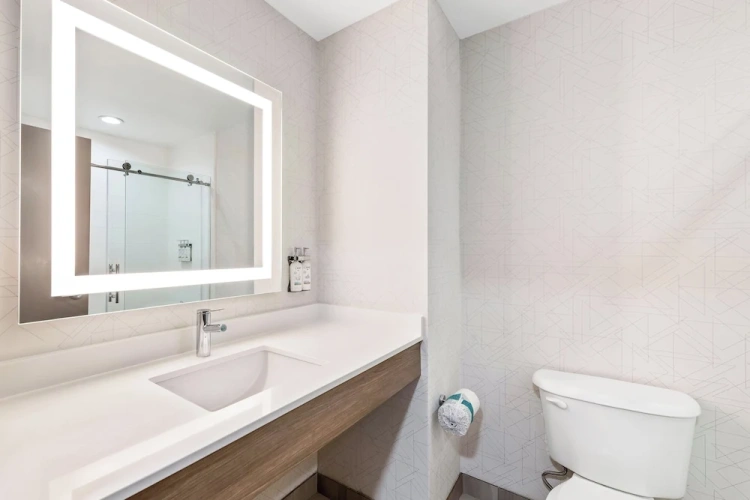 1 Bedroom Suite