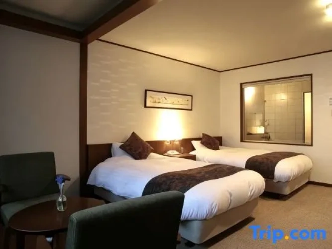Standard Double room with lake view