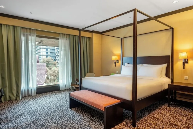 1 Bedroom Premier Suite