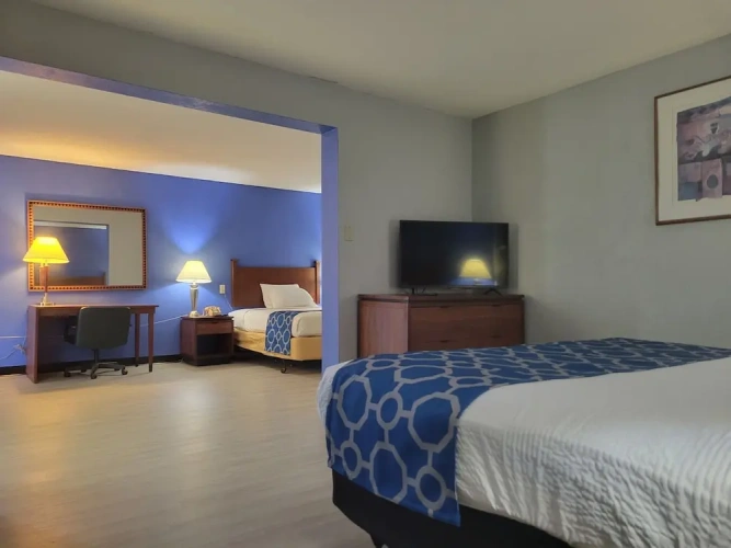 Deluxe Studio Suite