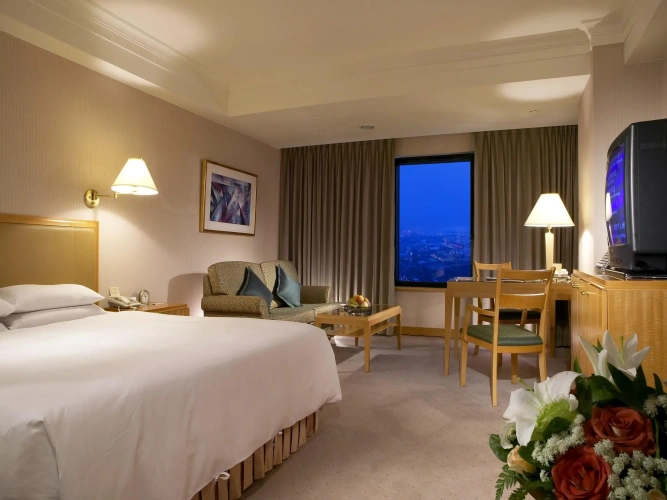 Deluxe Double room with city view