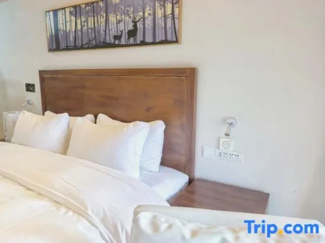 Comfort Double room with mountain view