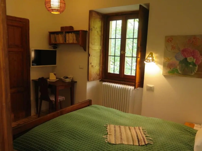 Standard Double room with garden view