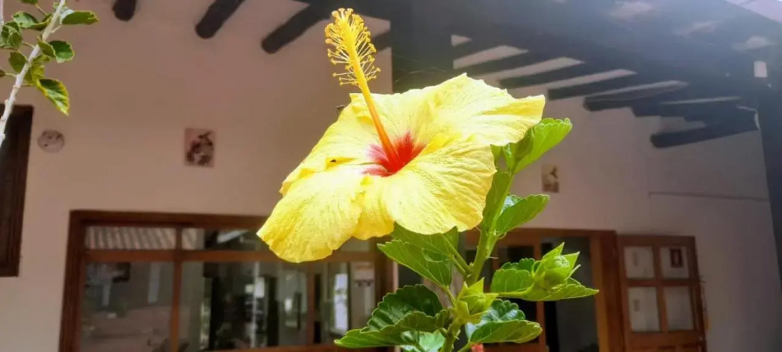 Villa Tamauka Hotel