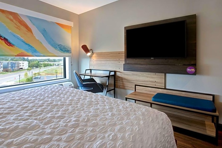 1 Bedroom Suite