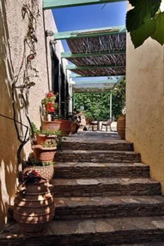 Dedalus Village