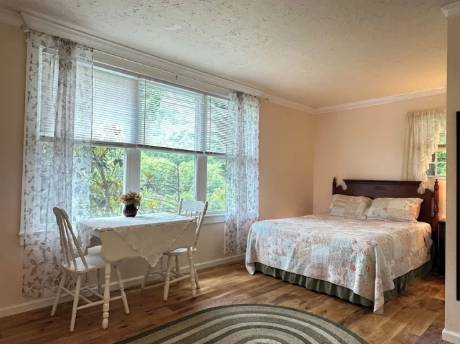 1 Bedroom Suite with mountain view