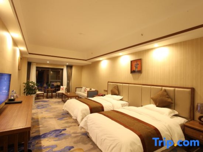 Deluxe Twin room with city view