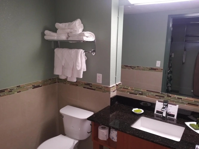 Standard Double room