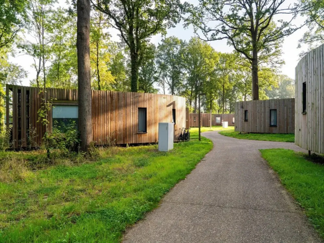 Serene Forest Getaway