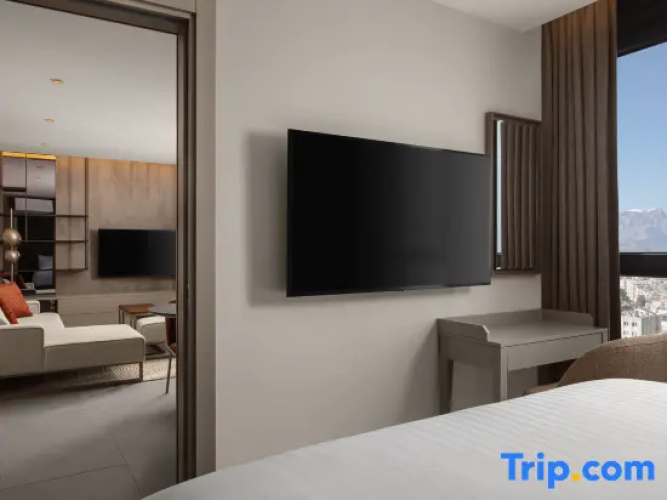 1 Bedroom Suite with city view