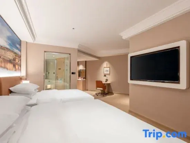 Deluxe Twin Family room