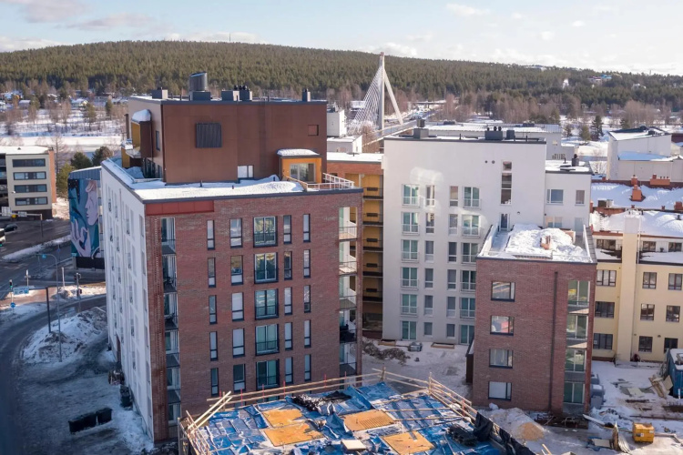 Tuomas´luxurious suites, Koivu