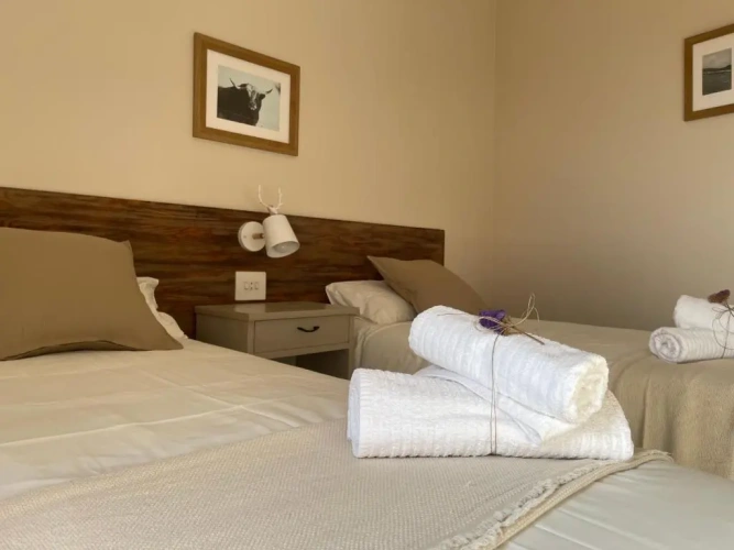 Standard Double room with mountain view