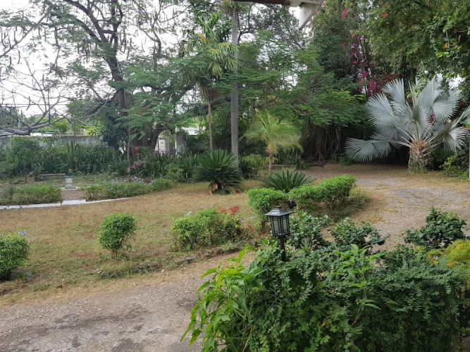 Devon Estate Kingston Jamaica