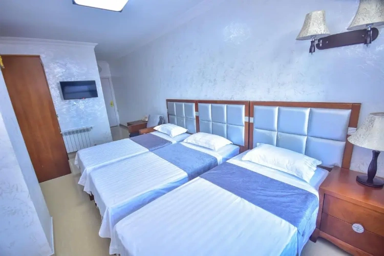 Standard Twin room with balcony and with view