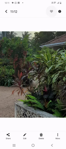 Srilal's Guest House