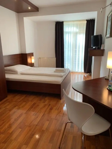 Standard Double room with balcony and with view