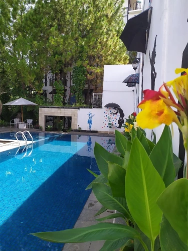 Executive Double room with balcony