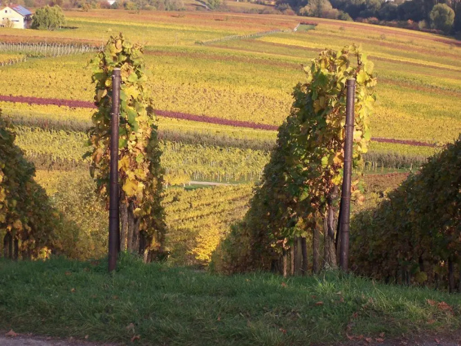 Feriendorf Sonnenberg