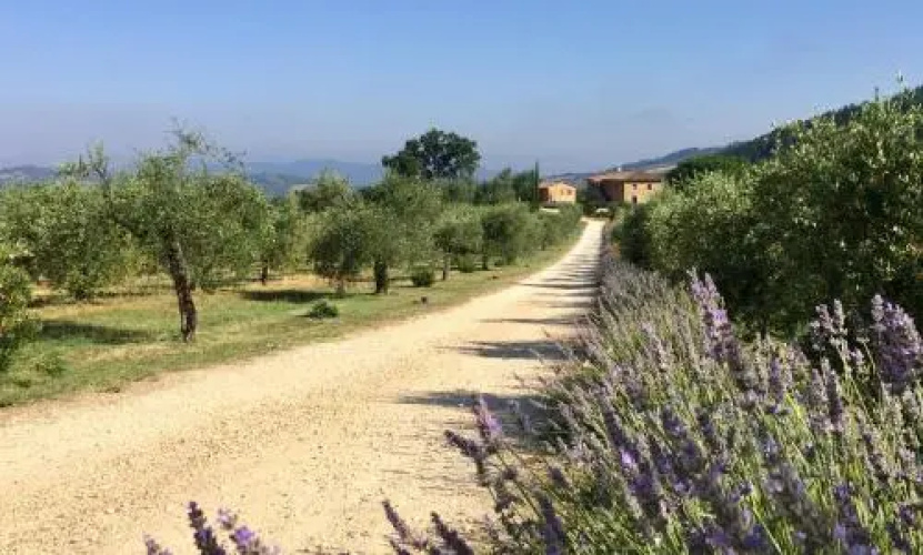 Villa Le Bolli