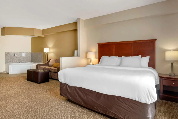1 Bedroom Suite