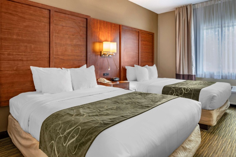 Quadruple Suite