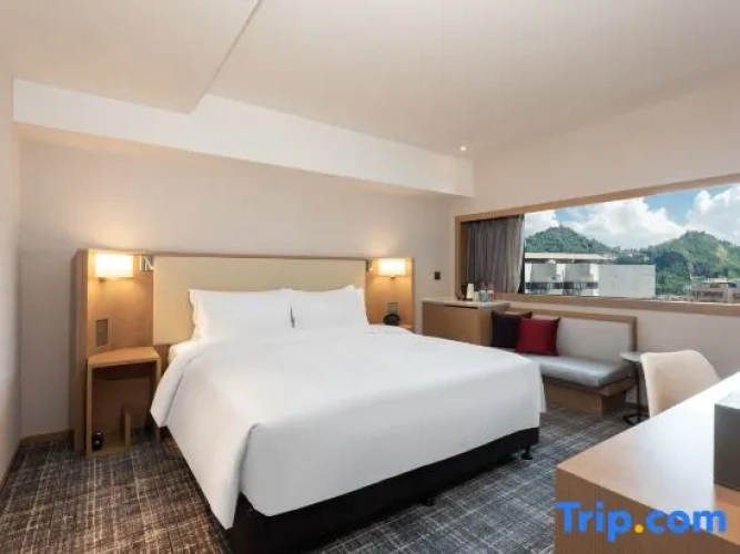 1 Bedroom Superior Double room with city view