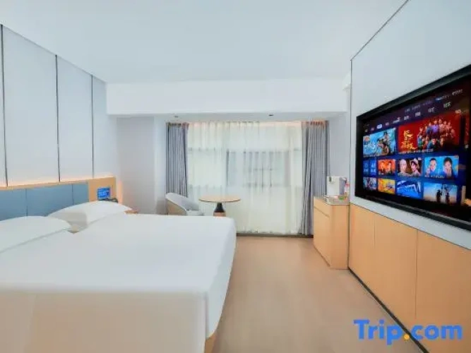 Standard Twin Suite