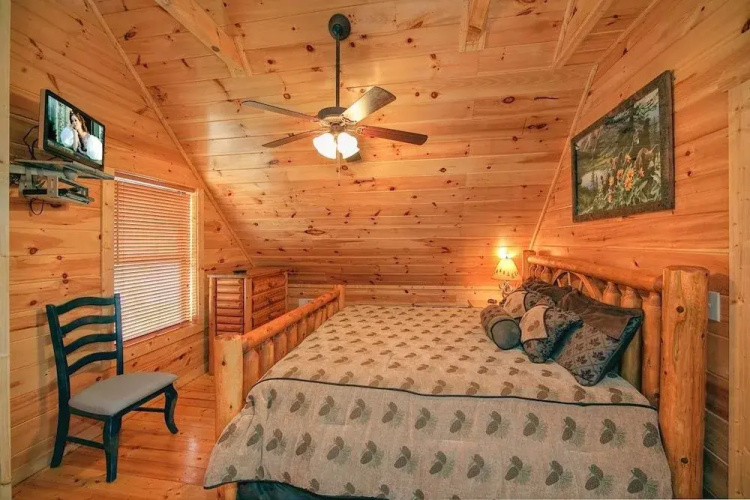 Beary Cozy