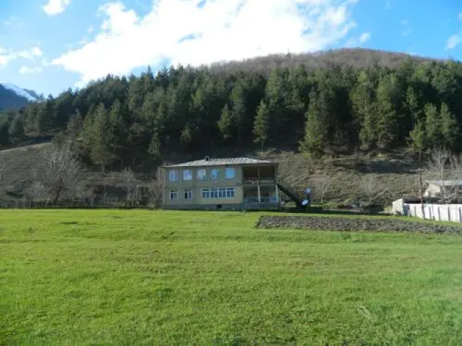 alex house