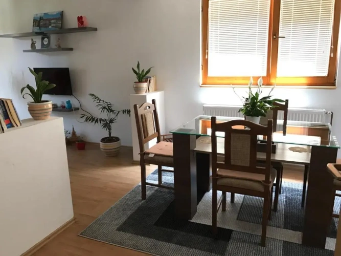 Basement Apartment with view