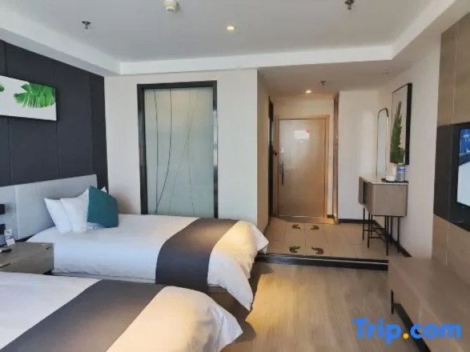 Premium Twin room with city view