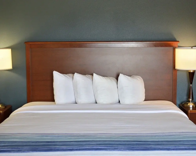 1 Bedroom Deluxe Suite