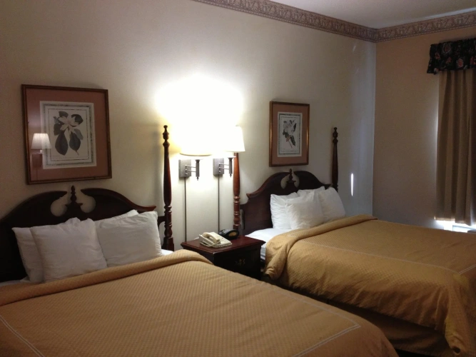 Quadruple Suite