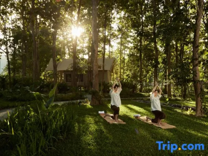 Tantawan Tented Camp by Dusit, Chiang Rai