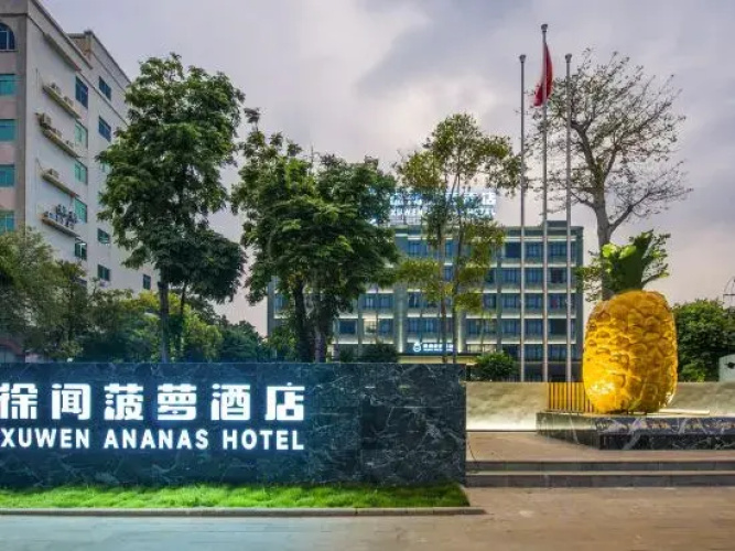 Xuwen Pineapple Hotel