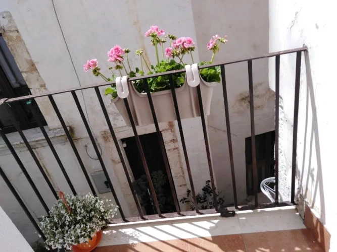 1 Bedroom Cottage