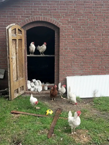 Betsie`s Place