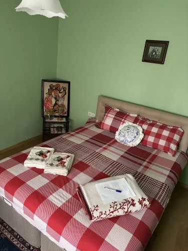 Mavi Ladin Konukevi